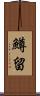 鱒留 Scroll