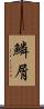 鱗屑 Scroll
