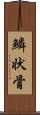 鱗状骨 Scroll