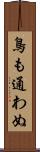 鳥も通わぬ Scroll