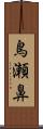 鳥瀬鼻 Scroll