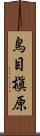 鳥目槇原 Scroll