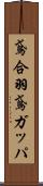 鳶合羽 Scroll