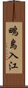 鴫島入江 Scroll