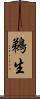 鵜生 Scroll