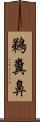 鵜糞鼻 Scroll