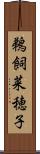 鵜飼菜穂子 Scroll