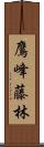 鷹峰藤林 Scroll
