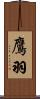 鷹羽 Scroll