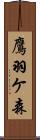 鷹羽ケ森 Scroll