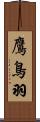 鷹鳥羽 Scroll