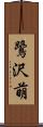 鷺沢萌 Scroll