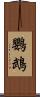 鸚鵡 Scroll