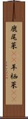 鹿尾菜(rK) Scroll
