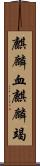 麒麟血 Scroll