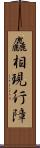 麤相現行障 Scroll