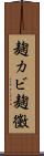 麹カビ Scroll