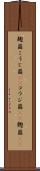 麹菌 Scroll