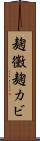麹黴 Scroll