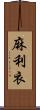 麻利衣 Scroll