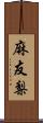 麻友梨 Scroll