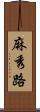 麻秀路 Scroll