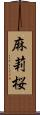 麻莉桜 Scroll