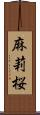 麻莉桜 Scroll