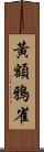 黃額鴉雀 Scroll