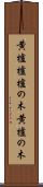 黄櫨 Scroll