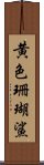 黄色珊瑚鯊 Scroll