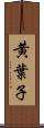黄葉子 Scroll