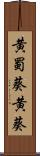 黄蜀葵 Scroll