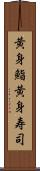 黄身鮨 Scroll