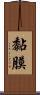 黏膜 Scroll