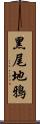 黑尾地鴉 Scroll