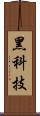 黑科技 Scroll