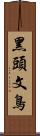 黑頭文鳥 Scroll