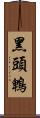 黑頭鵯 Scroll