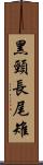 黑頸長尾雉 Scroll