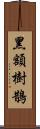 黑額樹鵲 Scroll