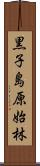 黒子島原始林 Scroll