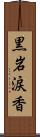 黒岩涙香 Scroll