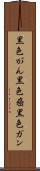 黒色がん Scroll