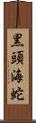 黒頭海蛇 Scroll