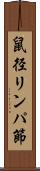 鼠径リンパ節 Scroll