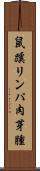 鼠蹊リンパ肉芽腫 Scroll