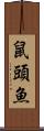 鼠頭魚 Scroll