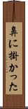 鼻に掛かった Scroll