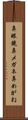 鼻眼鏡 Scroll